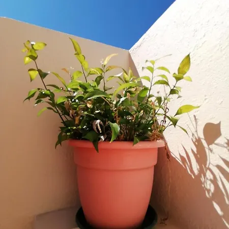 Penha T3 Dystrykt Faro